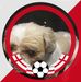 Sonia Dowling - Facebook