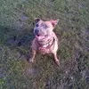 soniacoysdowning - @soniacoysdowning - TikTok