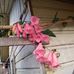 Sonia Esparza - Facebook