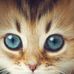 Sonia Ferran - Facebook