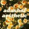 Sonia Franklin - @adashofaesthetic - TikTok