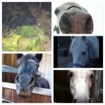 Sonia_Franklin_GaetanSpot_Moon - @sonia_franklin_gaetanspot_moon - Instagram