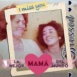 Sonia Castellanos Frederick - @somaca54 - Instagram