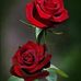 Sonia Gerardo - Facebook