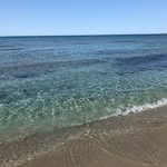 Sonia Grossi - @soniagrossi2007 - Instagram