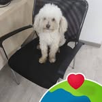 Sonia Guarda Mundaca - @soniaguardamundaca - Instagram