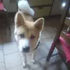 soniaguelle - @soniaguelle - TikTok