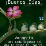 Sonia Guevara - @soniaguevara3605 - Instagram