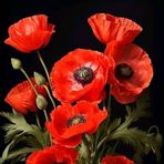 Sonia Hackett - Facebook
