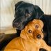 Sonia Hallmark - Facebook