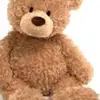 SoniaHarrison_ - @user1729186200781 - TikTok