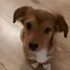 soniahartmann1 - @soniahartmann1 - TikTok