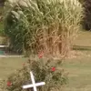 Sonia Hatch Clark - @sonia.hatch.clark - TikTok