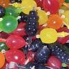 🍎JELLY FRUIT 🍎 - @lilsoniaheard - TikTok