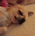Sonia Hebert - Facebook