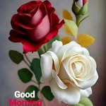 sonia heer - @sonia_heer208 - Instagram