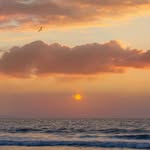 Sonia Henry - @soniahenry19642 - Instagram