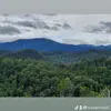 soniahicks0 - @soniahicks0 - TikTok