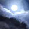 Sonia Hunt - @sonia.hunt4 - TikTok