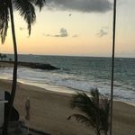 Sonia Ingram - @chachagreyfox - Instagram