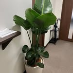 Mister - @soniajohnson387vnb - Instagram