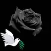 Sonia Khalid786 - @soniakhalid526gmail.c5 - TikTok