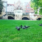 Sonia_khalid - @sonia_khalid5472 - Instagram