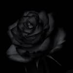 Sonia Khalid - @sonia.khalid.3766 - Instagram