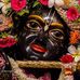 Sonia Krishna - Facebook