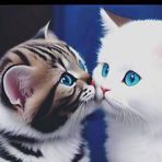 Sonia Khan - Facebook
