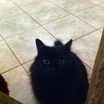 Sonia Langley - @langleys13 - Instagram