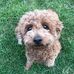 Sonia Langley - Facebook
