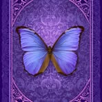 Sonia Lea - Facebook
