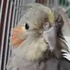 sonialea14 - @sonialea14 - TikTok