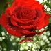 Sonia Ledesma - Facebook