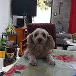 Sonia Ledesma - @sonia.ledesma.58 - Instagram