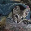 Sonia Ledesma - @sonia.ledesma18 - TikTok