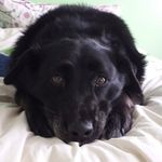 Libby Sonia - @theamazinglifeoflibby - Instagram