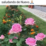 Sonia Luke - @sonieluke - Instagram