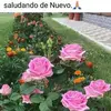 Sonia Luke - @sonia.luke3 - TikTok