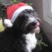 Sonia Lyons - Facebook