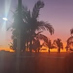 Sonia Mackey Picelli - @soniapicelli - Instagram