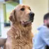 Sonia_mah - @sonia_mah - TikTok