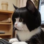 Sonia Malik - @sonia_malik11 - Instagram