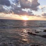 Sonia Marchese - @soniamarchese58 - Instagram