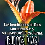 sonia marks - @soniamarks1970 - Instagram