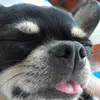 sonia_marte - @sonia_marte - TikTok