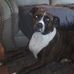 Sonya Masters - Facebook