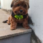 Sonia Matos - Facebook