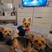 Sonia McLeod - Facebook